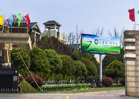 3044永利集团茶业集团获评农业产业化国家重点龙头企业 3044永利集团茶业集团获评农业产业化国家重点龙头企业