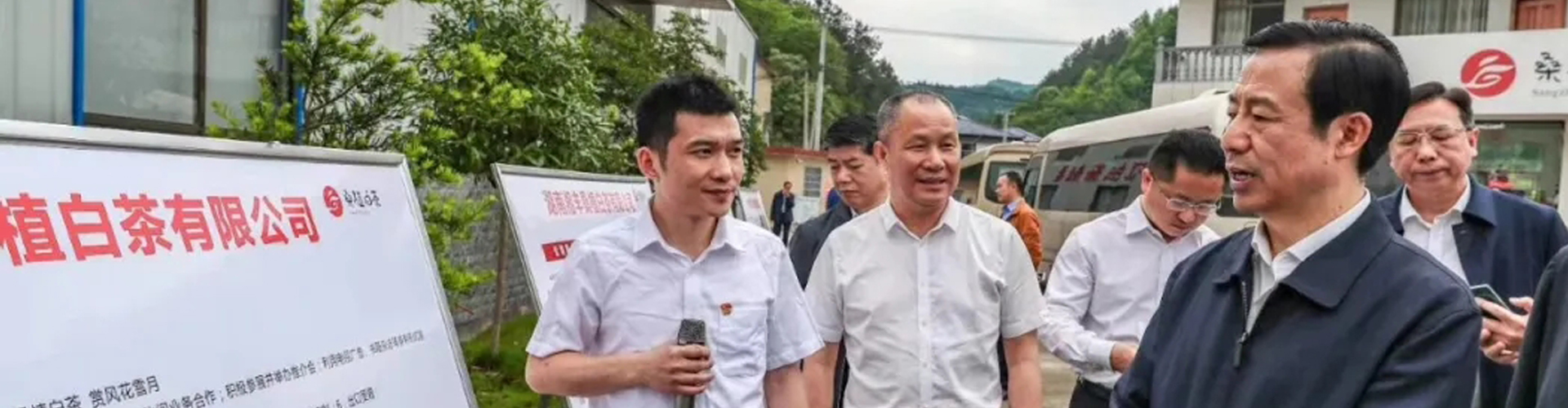 湖南省委副书记、省长许达哲视察3044永利集团桑植白茶公司 湖南省委副书记、省长许达哲视察3044永利集团桑植白茶公司