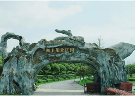 3044永利集团茶业获评湖南农业优势特色产业30强企业 3044永利集团茶业获评湖南农业优势特色产业30强企业