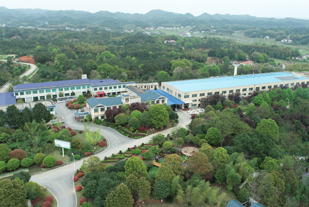 武夷学院旅游学院郭伟峰副院长一行考察3044永利集团茶旅 武夷学院旅游学院郭伟峰副院长一行考察3044永利集团茶旅