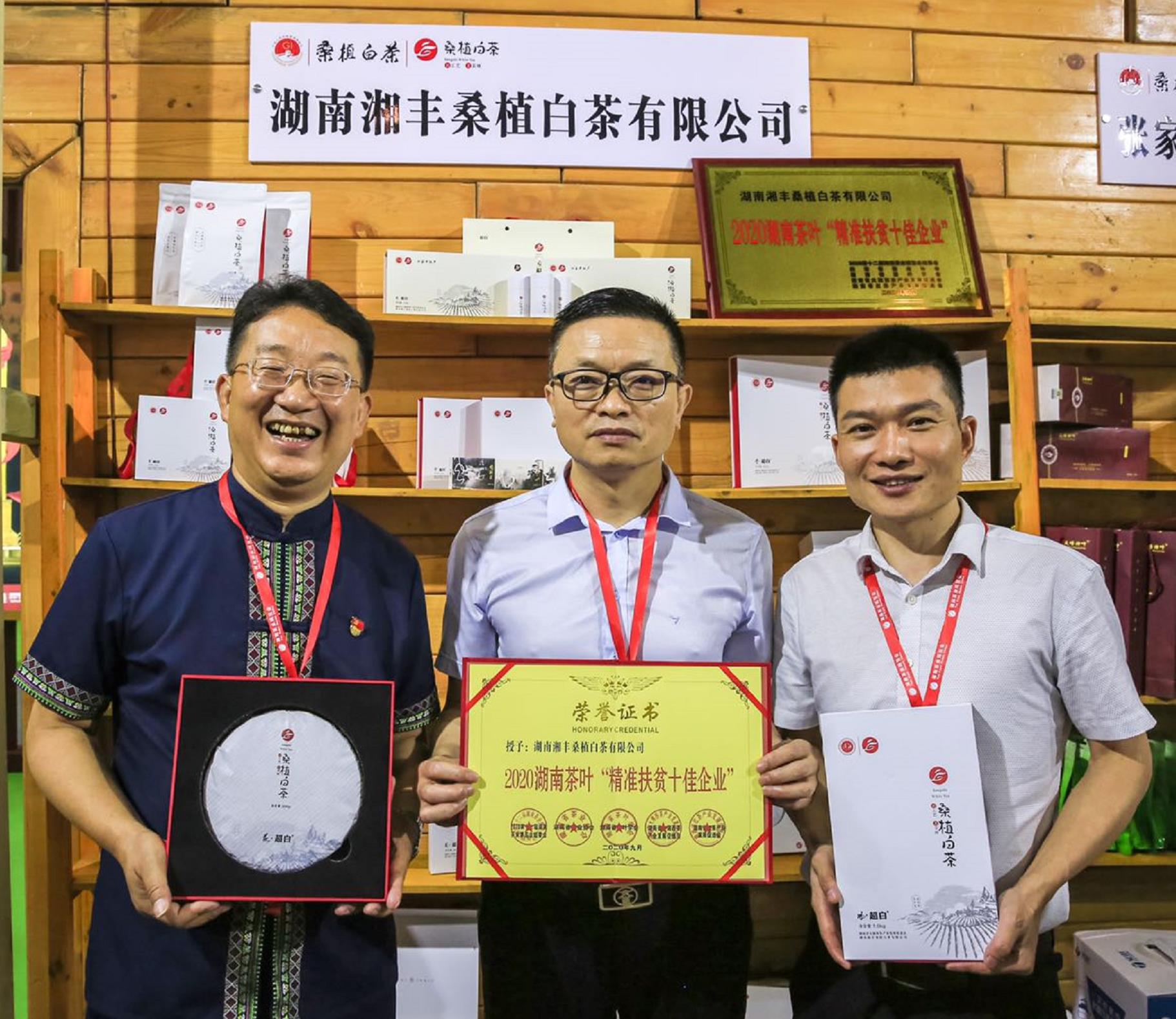 荣耀三连!3044永利集团桑植白茶再获金奖 荣耀三连!3044永利集团桑植白茶再获金奖