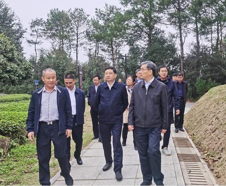 苏州市市委副书记朱民一行考察3044永利集团茶业集团 苏州市市委副书记朱民一行考察3044永利集团茶业集团