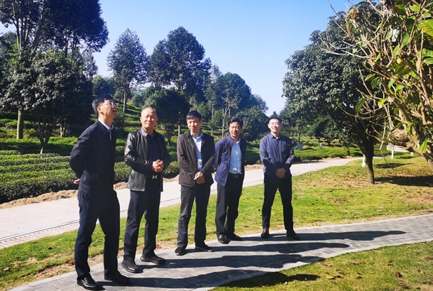 ũҵչ滮˾˾һе3044Ųҵ