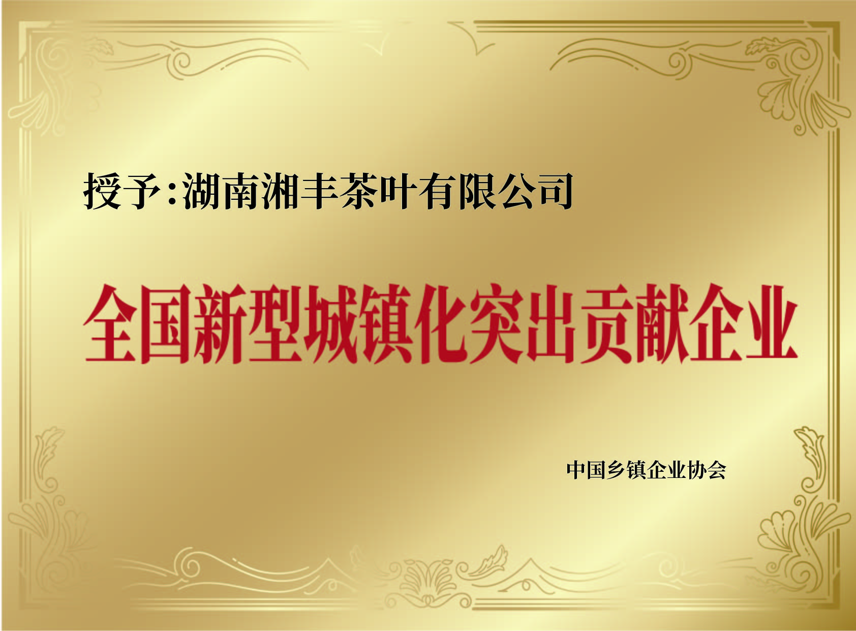 全国新型城镇化突出贡献企业