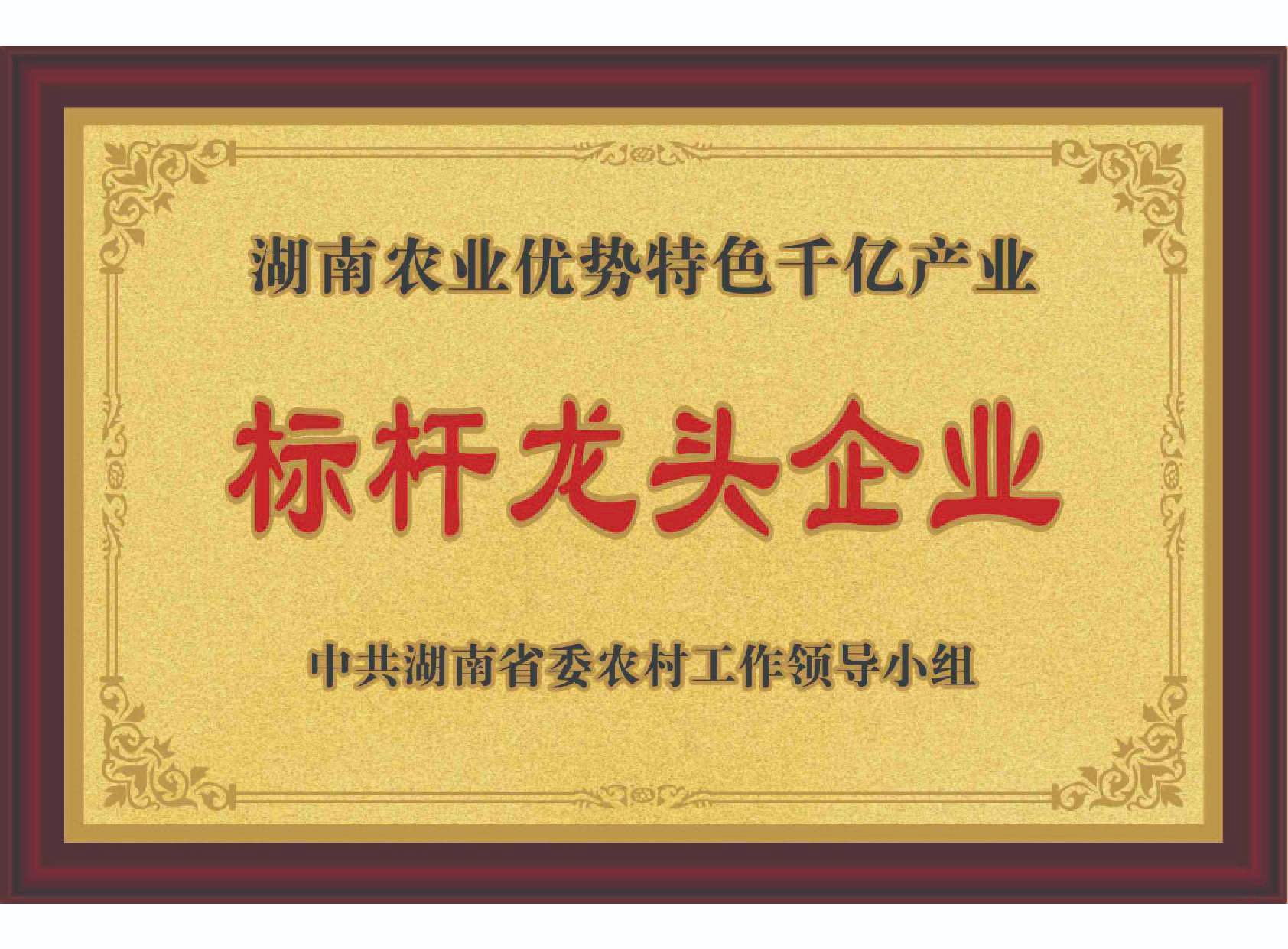 湖南农业优势特色千亿产业标杆龙头企业