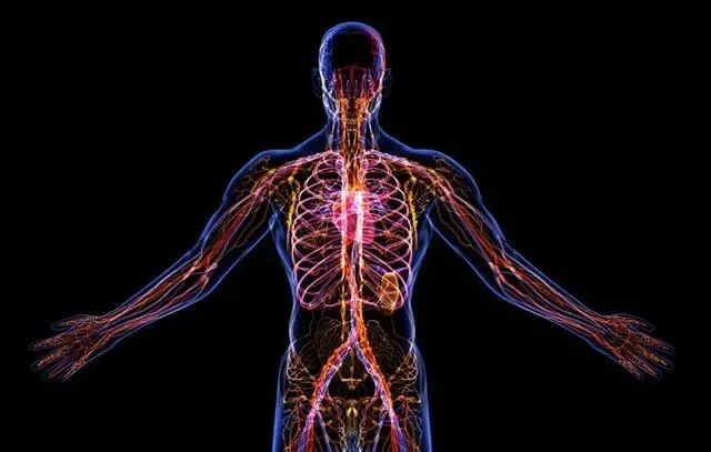 ѧذͻƣǴͨ徭ЧʳƷ