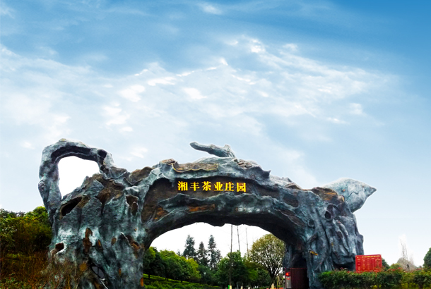 3044ŲҵһƬ̲衱Ʈȫ