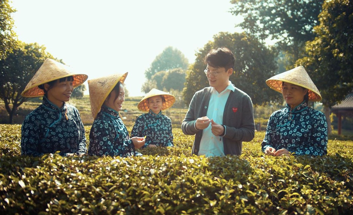 春茶飘香,一起去千年茶乡品茗 春茶飘香,一起去千年茶乡品茗
