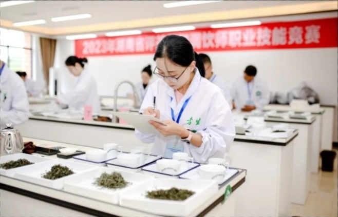 时光长廊?劳动者风采 | 谢娇枚:科班出身深耕茶园,以“技”赋能产业发展 时光长廊?劳动者风采 | 谢娇枚:科班出身深耕茶园,以“技”赋能产业发展