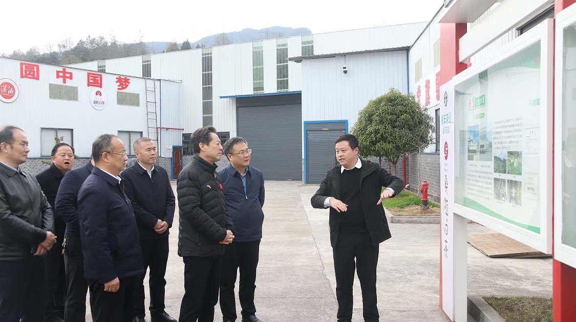 湖南省政协副主席虢正贵带队调研3044永利集团桑植白茶公司 湖南省政协副主席虢正贵带队调研3044永利集团桑植白茶公司