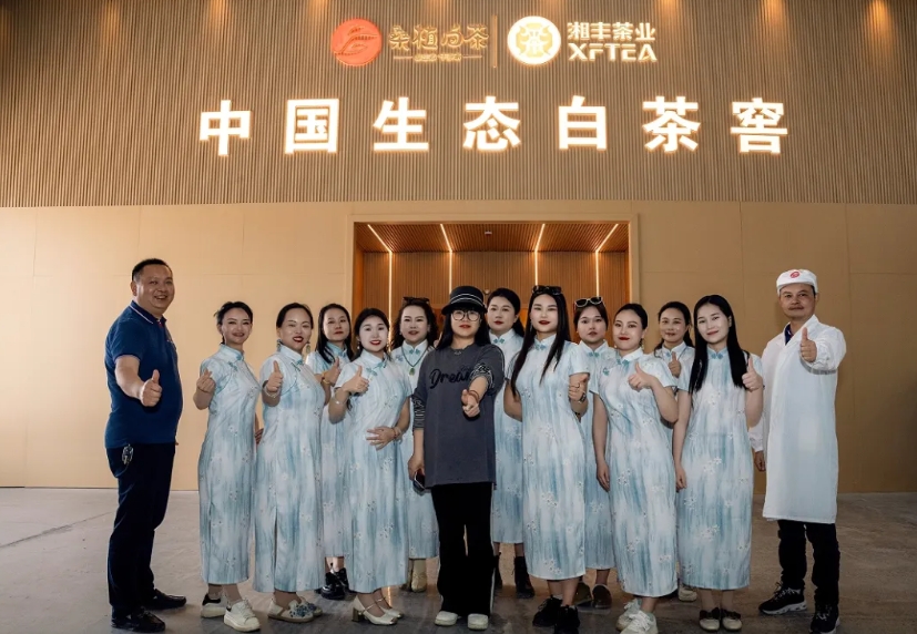 助力品牌腾飞 | 3044永利集团桑植白茶品宣与营销培训活动如期举行 助力品牌腾飞 | 3044永利集团桑植白茶品宣与营销培训活动如期举行